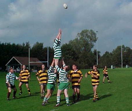 lineout
