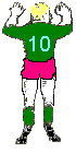 nr10