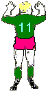 nr11
